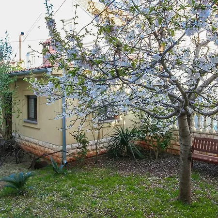 Villa Gold Royal